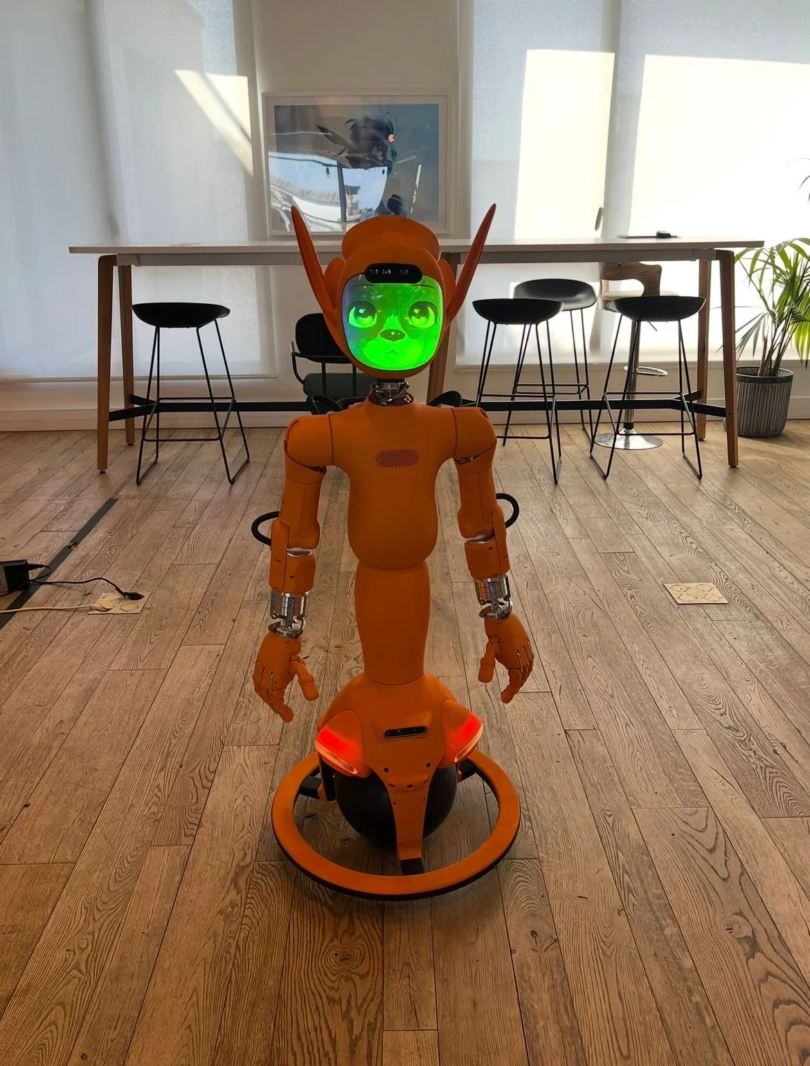 Mirokaï character robot with labelled components